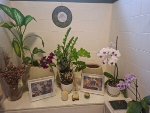 WhatsApp Image 2025-11-13 at 13.20.44 (1)