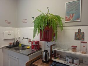 WhatsApp Image 2025-11-13 at 13.20.45 (2)